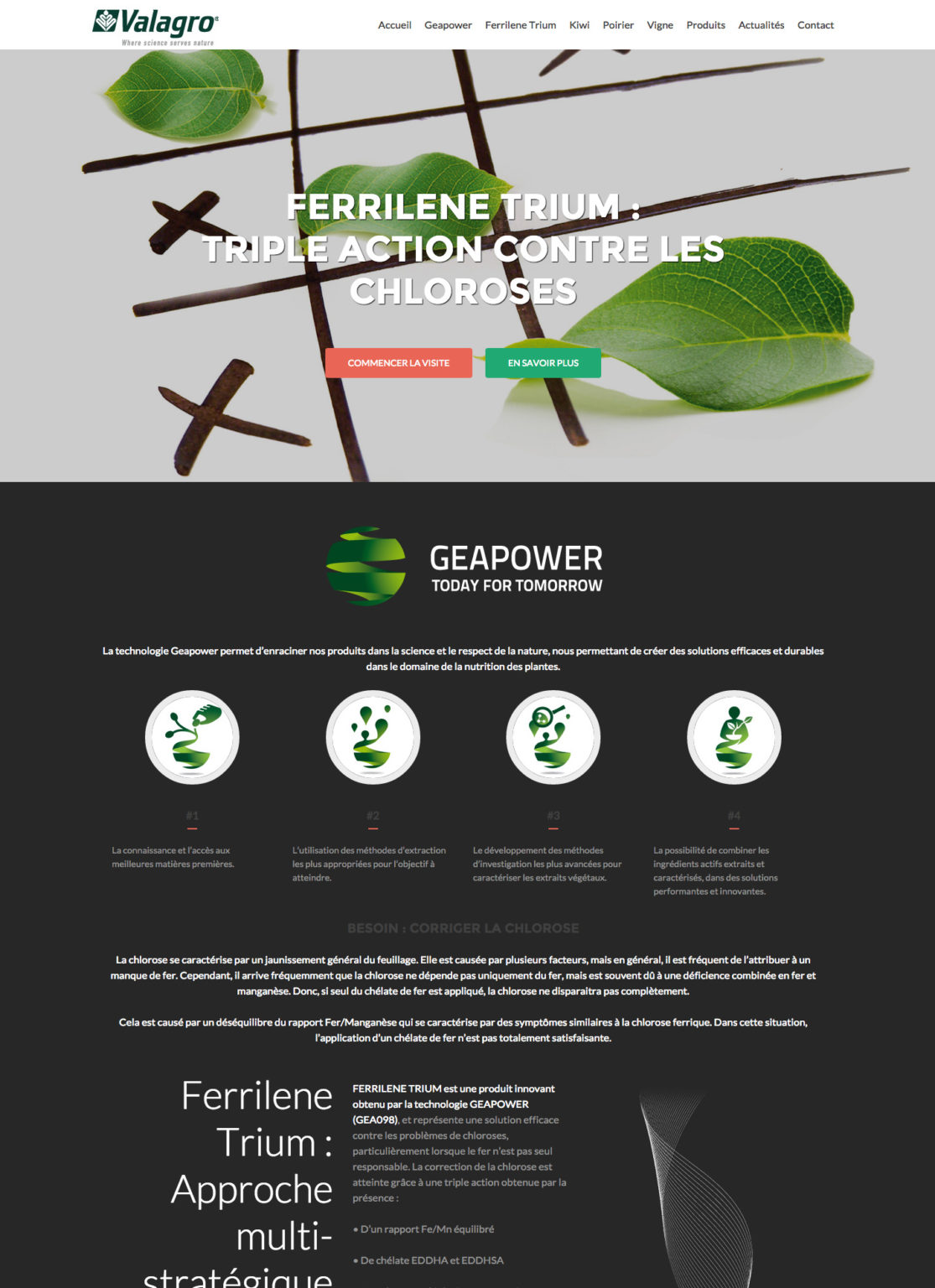 Site web Ferrilene Trium | Valagro France - Artemis and Co